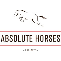 Absolute Horses logo - Similar company to Mosson Stable