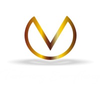 MVD Fasteners logo - Similar company to Rawlplug Anchor Fasteners & Chemicals | Vkan United Technologies