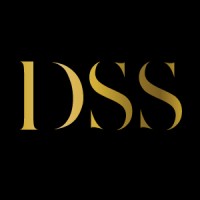 DSS Network logo - Similar company to Dinamic Area Software
