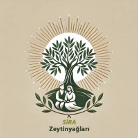 Sira Zeytinyaglari logo - Similar company to Codezy Academy