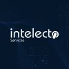 Intelecto Services logo - Similar company to Intelecto