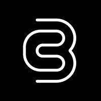 The BC Capital Group logo - Similar company to Doogheno