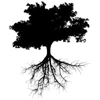 Transformative Leadership Coaching & Educational Design