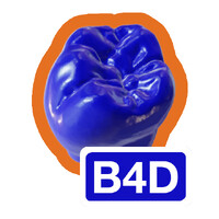 Blenderfordental logo - Similar company to Exceldent
