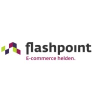Flashpoint BV logo - Similar company to Happy Geeks | Part Of Happy Horizon