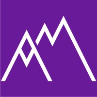 Asset Mills logo - Similar company to Tech Labz Ltd
