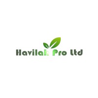 Havilah Pro Limited logo - Similar company to Asna Export Group