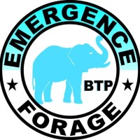 EMERGENCE FORAGE BTP logo - Similar company to Traore Btp