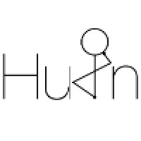Huin