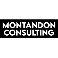 Montandon Consulting logo - Similar company to Managemystartup