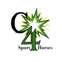 Crazy 4 Sport Horses logo - Similar company to Etomilu Srl