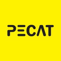 PECAT logo - Similar company to V5Technosoft