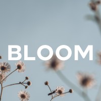 Bloom Lifestyle logo - Similar company to Surya