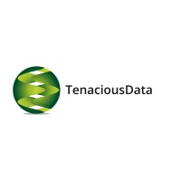 Tenacious Data - Tenacious with Data. Tough on ideas. Kind to People. logo - Similar company to Ren Foundation