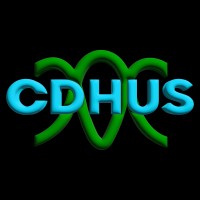 CDH Utility Solutions logo - Similar company to Finity Engineering, Llc