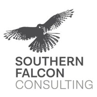 Southern Falcon Consulting Limited logo - Similar company to Marsh Governance