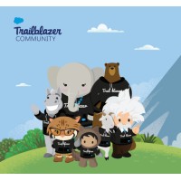 Belgium Salesforce Women In Tech Group logo - Similar company to Poze