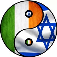 Maynooth Students for Israel logo - Similar company to Maynoothworks