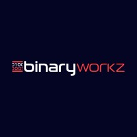 Binaryworkz logo - Similar company to Remus Enerji