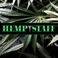 HempStaff logo - Similar company to Marijuana For Trauma Inc.