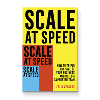Scale at Speed logo - Similar company to The Root Effect