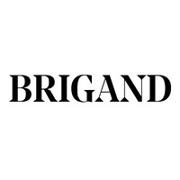BRIGAND logo - Similar company to Brigand Concept Store