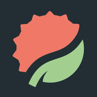 Lychee logo - Similar company to Reemo | Secure Remote Access Platform