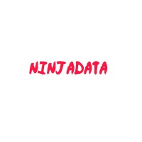 NinjaData logo - Similar company to Datapath