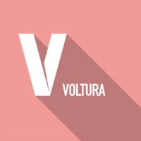 Voltura Labs logo - Similar company to Malware Security
