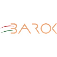 BAROK ARTISANAT DU MAROC logo - Similar company to Repinco