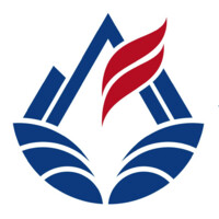 Aestus Future logo - Similar company to Psykick