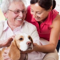 Ingleside Communities logo - Similar company to Aspire Therapy & Development Services
