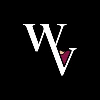 WineView🍷 logo - Similar company to Kinactive Kids