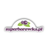 Superborowka.pl logo - Similar company to Spiid - Systemy Przetwarzania I Integracji Danych