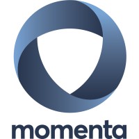 Momenta logo - Similar company to Money Intelligence