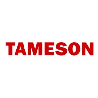 Tameson logo - Similar company to Quantum Srl