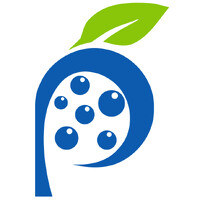 Paragon Pure logo - Similar company to Yemoja Ltd.