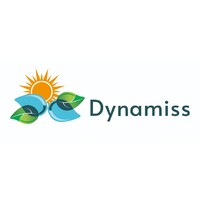 Dynamiss Lda logo - Similar company to Krolyc.Co.Mz