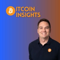 Bitcoin Insights logo - Similar company to Bitcoin Counterflow