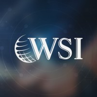 WSI Consultores logo - Similar company to 2Bsupply