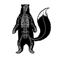 BJÖRN FOX logo - Similar company to Seen