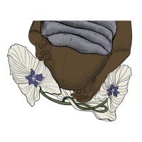Black Futures Initiative For Perinatal Health logo - Similar company to Portland State University’S Center For Executive And Professional Education (Cepe)
