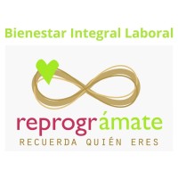 Bienestar Integral Laboral logo - Similar company to Wellmets | Systems Medicine