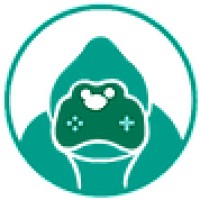 Stream Technology Corp.