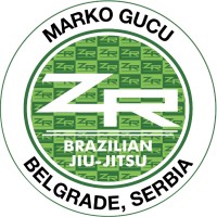 ZR Team Serbia logo - Similar company to Shark Boxing