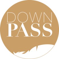 DOWNPASS logo - Similar company to Betten Anthon