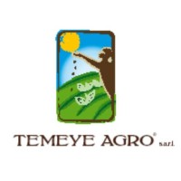 TEMEYE AGRO SARL logo - Similar company to Intego Ltd