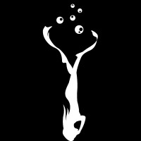 Freedive Nomad logo - Similar company to Freediving Liveaboard