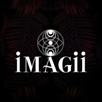 Imagii logo - Similar company to Anteaq