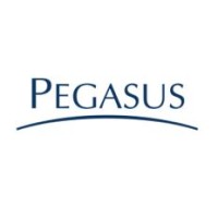 Grupo Pegasus logo - Similar company to Station Direct Capital